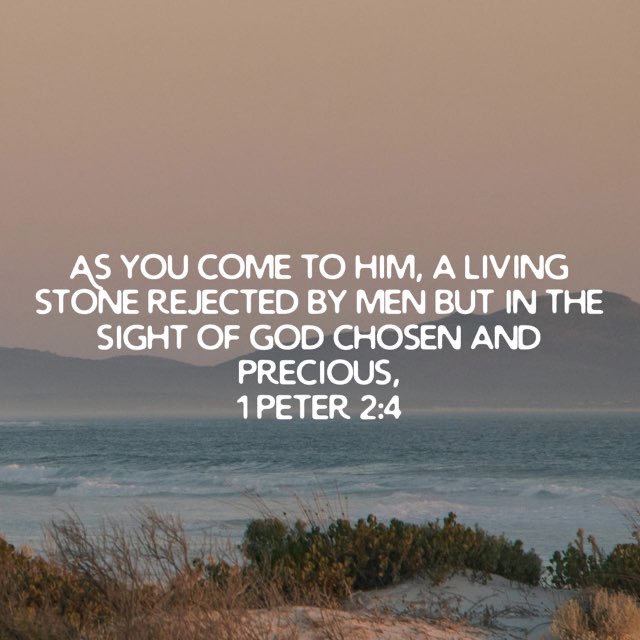 1Peter24